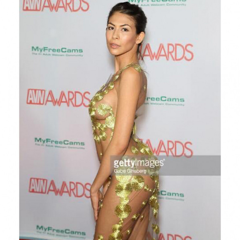 AVN2018 Custom Gown by Radka Salcmannova